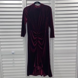 Eliza J Velvet Dress